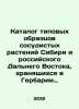 Catalogue of sample vascular plants of Siberia and the Russian Far East, stored. Komarov, L.V.