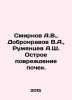 Smirnov A.V.,  Dobronravov V.A.,  Rumyantsev A.Sh. Acute kidney damage. In Russ. Rumyantsev, A.
