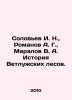 Solovyev I. N.,  Romanov A. G.,  Maralov V. A. History of the Vetluzhskiye fore. Soloviev, Ioann Ilyich
