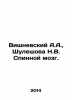 A.A. Vishnevsky  N.V. Shuleshova Spinal Brain./Vishnevskiy A.A.   Shuleshova N.V. Vishnevsky  A.N.
