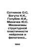 Sotnikov O.S.,  Boguta K.K.,  Golubev A.I.,  Minichev Yu.S. Mechanisms of struc. Golubev, A.S.