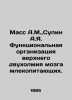 Mass A.M.,  Supin A.I. Functional organization of the upper bihilm of the mamma. Ass, A.