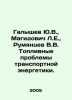 Yu.V. Galyshev, L.E. Magidovich, V.V. Rumyantsev Fuel Problems of Transport Ene. Rumyantsev, V.