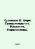 Kuznetsov E. Circus. Origins. Development. Prospects. In Russian /Kuznetsov E. . Kuznetsov, Evgeny Vasilievich