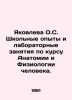 Yakovleva O.S. School Experiments and Laboratory Studies in Human Anatomy and P. Yakovleva, O.D.