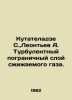 Kutateladze S.,  Leontev A. Turbulent border layer of liquefied gas. In Russian. Leontiev, Anatoly Nikolaevich