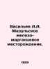 Vasiliev A.A. Mazulskoye iron-manganese deposit. In Russian /Vasilev A.A. Mazul. Vasiliev, Afanasy Vasilievich