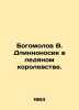 Bogomolov V. The long nose in the ice kingdom. In Russian /Bogomolov V. Dlinnon. Vladimir Bogomolov