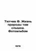 Tyutchev F. Natures life can be heard there. Photo album In Russian /Tyutchev F. Fedor Tyutchev