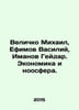 Velichko Mikhail, Efimov Vasily, Imanov Heydar. Economics and the Noosphere. In. Efimov, Vasily Vladimirovich
