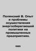 Polyansky B. Experience and challenges in implementing energy-saving policies i. Polyansky, Vladimir Sergeevich