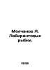 Molchanov A. Labyrinth fish. In Russian /Molchanov A. Labirintovye rybki.. Molchanov, Alexander Nikolaevich