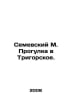 Semevsky M. Walk to Trigorskoye. In Russian /Semevskiy M. Progulka v Trigorskoe. Semevsky, Mikhail Ivanovich