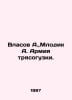 Vlasov A., Mlodik A. The army is shaking. In Russian /Vlasov A., Mlodik A. Armi. Vlasov, A.N.