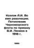 Kozlov A.I. In the name of revolution. The sinking of the Black Sea Fleet on th. Kozlov, Alexander Alexandrovich