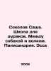 Sacha Sokolov. School for Fools. Between Dog and Wolf. Palisandria. Essay In Ru. Sokolov, Simeon Ivanovich