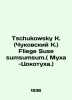 Tschukowski K. (Chukovsky K.) Fliege Suse sumsum. (Fly-Foot.) In Russian (ask us. Korney Chukovsky