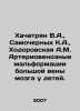 Khachatryan V.A.,  Samochernogo K.A.,  Khodorovskaya A.M. Arteriovenous malform. Vasily Yan