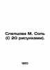 Sleptsova M. Sol (With 20 pictures). In Russian (ask us if in doubt)/Sleptsova M. Sleptsova  Maria Nikolaevna