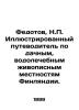 Fedotov  N.P. An Illustrated Guide to Finland's Dacha and Hydrotherapeutic Scene. Fedotov  Nikolay Petrovich