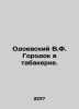 Odoevsky V.F. Town in Tobacco. In Russian /Odoevskiy V.F. Gorodok v tabakerke.. Vladimir Odoevsky