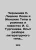 Chernyshev K. Excess People and Female Types in Novels and Novels by I. S. Tur. Chernyshev, Konstantin Vasilievich