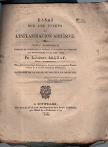 Essai sur les effets de l'inflammation adhésive.