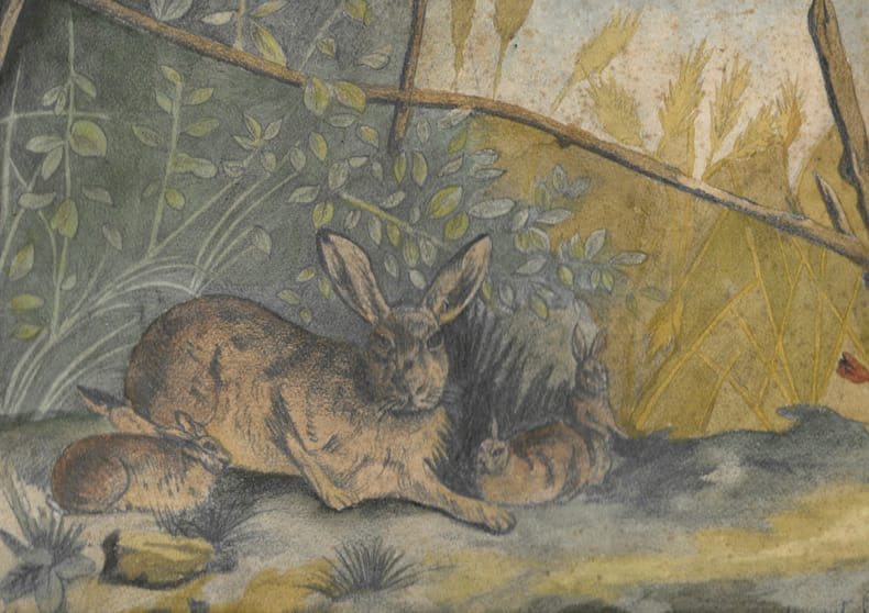 Lapins. Aubusson