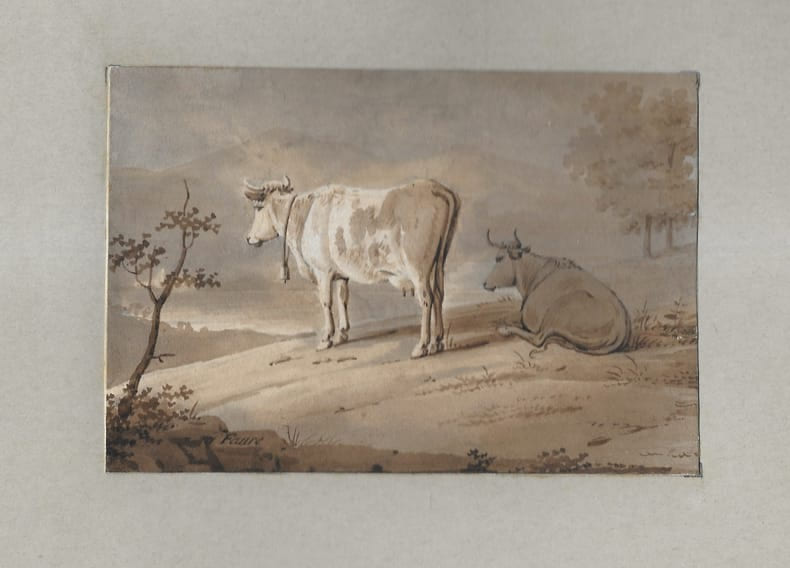 Deux vaches. FAURE