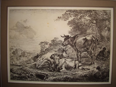 Les trois vaches au repos.
