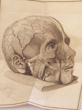 Traité pratique des maladies des yeux ou expériences et observations sur les maladies qui affectent ces organes. SCARPA Ant.