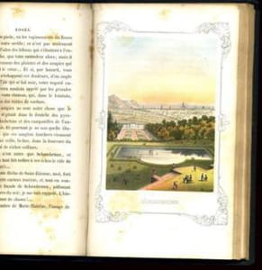 Lis, roses et violettes ou la moisson des anges.