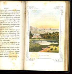Lis, roses et violettes ou la moisson des anges.. DRIOU Alfred