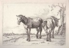Les chevaux de charrue. POTER Paulus