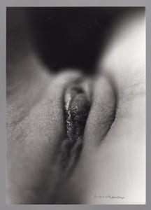 (Sade)