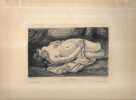 Femme couch&eacute;e (d'apr&egrave;s Courbet).. WALTNER Charles Albert