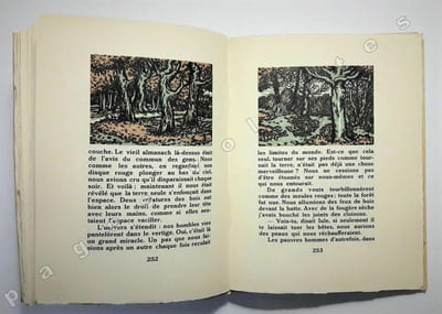 Au coeur frais de la forêt. Bois de Barthélémy.