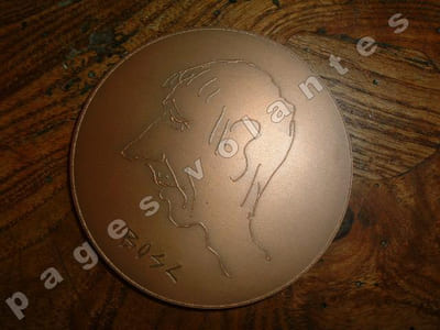 Médaille en bronze. Dans sa boite cartonnée.