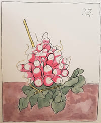 Clos-Joli. I. Les Fleurs. II. Les Fruits.