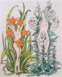 Fleurs de France. Fables et esquisses. Eaux-fortes originales de Joseph Hémard.