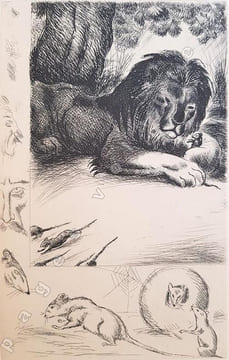 Les Fables d' Esope Phrygien enrichies de quatrains à la fin de chaque discours et de vingt  gravures d'André Collot.. ESOPE.