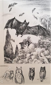 Les Fables d' Esope Phrygien enrichies de quatrains à la fin de chaque discours et de vingt  gravures d'André Collot.. ESOPE.