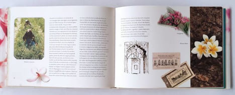 Les routes de mes parfums. Avec la complicité d'Elisabeth Sirot. Illustrations de Marc Lacaze.. GUERLAIN ( Jean-Paul).