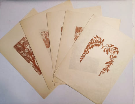 Sur trois marches de marbre rose. Poésie ornée de dix-sept bois dessinés et gravés par Georges Le Meilleur. . MUSSET (A. de). 