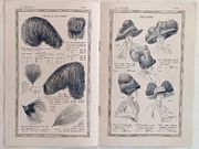 Image de livre