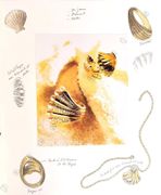 Image de livre
