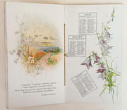 Calendrier pour 1902. par ROSTAND (Edmond). - Image 2