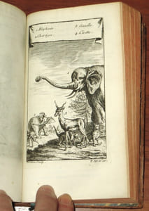 Histoire générale des voyages, ou Nouvelle collection de toutes les relations de voyages par mer et par terre. Tome 10 : Voyages au long des Côtes occidentales de l'Afrique, depuis le cap Blanco jusqu'à Sierra Léona, contenant l'établissement du commerce des Anglois sur la rivière de Gambra, vulgairement la Gambie. Chapitres XIII à XX.