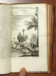 Histoire générale des voyages, ou Nouvelle collection de toutes les relations de voyages par mer et par terre. Tome 10 : Voyages au long des Côtes occidentales de l'Afrique, depuis le cap Blanco jusqu'à Sierra Léona, contenant l'établissement du commerce des Anglois sur la rivière de Gambra, vulgairement la Gambie. Chapitres XIII à XX.