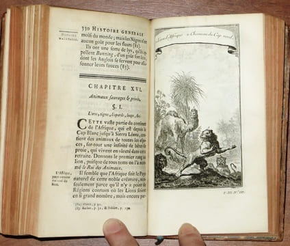Histoire générale des voyages, ou Nouvelle collection de toutes les relations de voyages par mer et par terre. Tome 10 : Voyages au long des Côtes ...